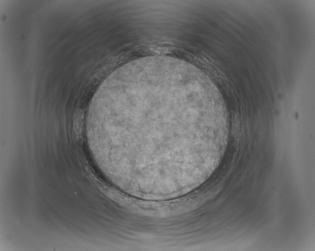 X0000081600030200702121600