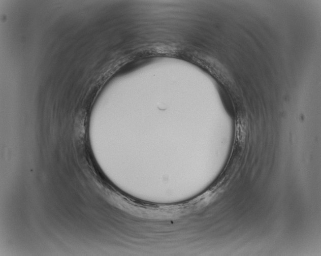 X0000081600032200702121600