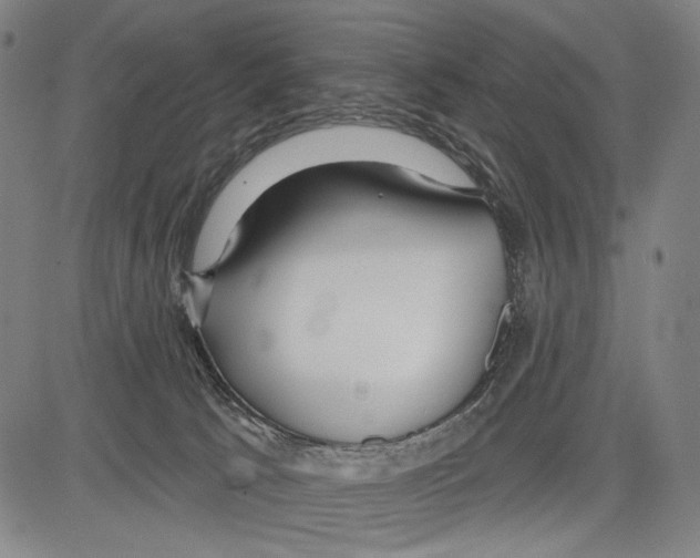 X0000081600033200702121600