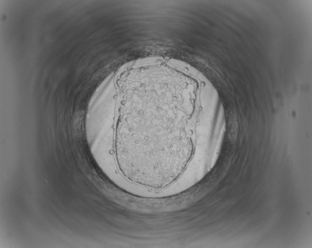 X0000081600034200702121600