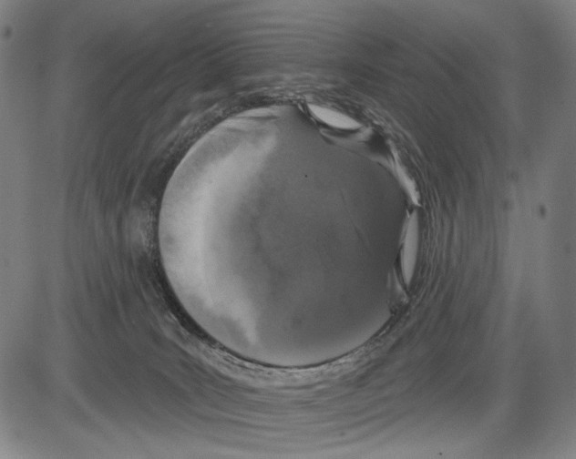 X0000081600035200702121600