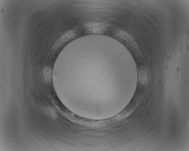 X0000081600036200702121600