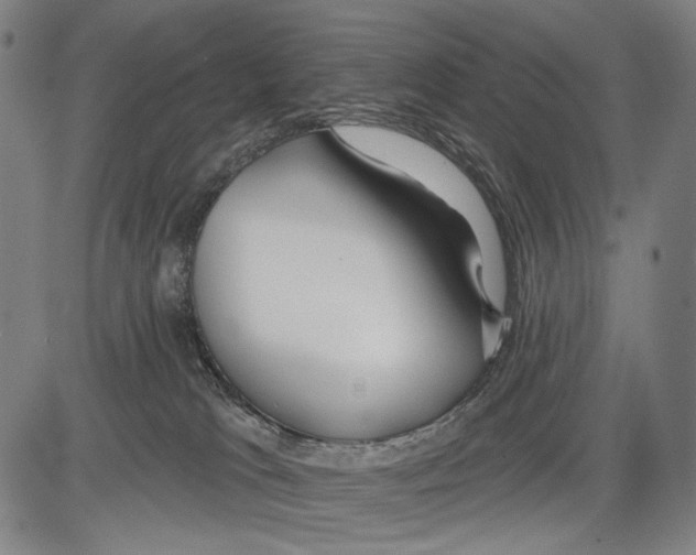 X0000081600037200702121600