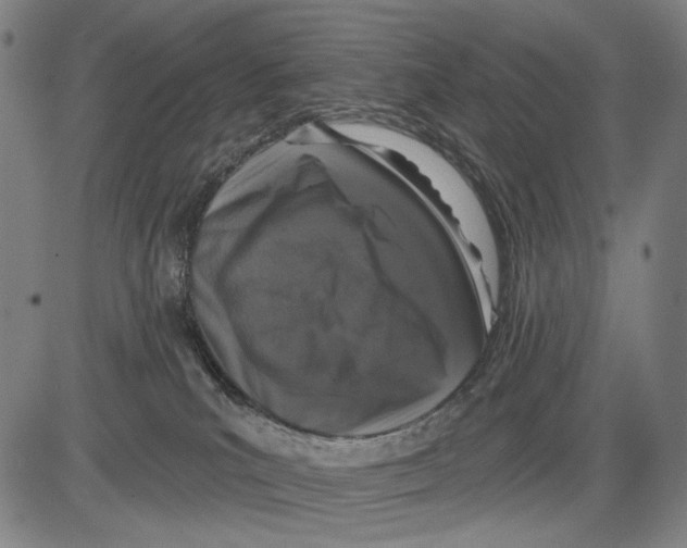 X0000081600039200702121600