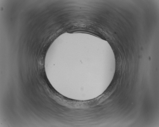 X0000081600040200702121600