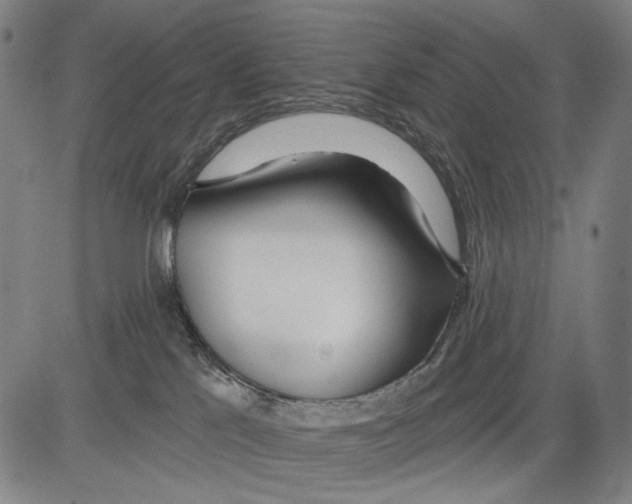 X0000081600041200702121600