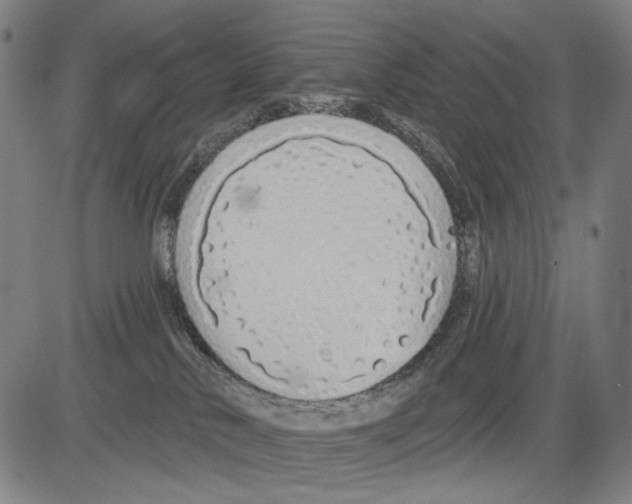 X0000081600042200702121600