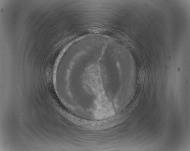 X0000081600043200702121600