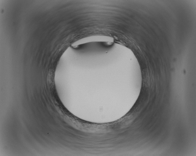 X0000081600044200702121600