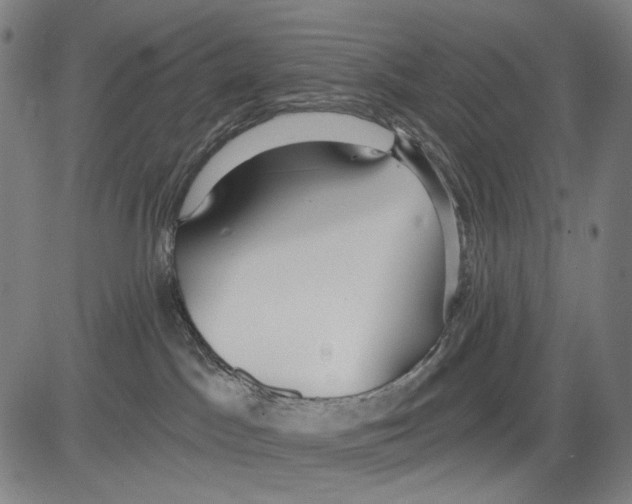 X0000081600045200702121600