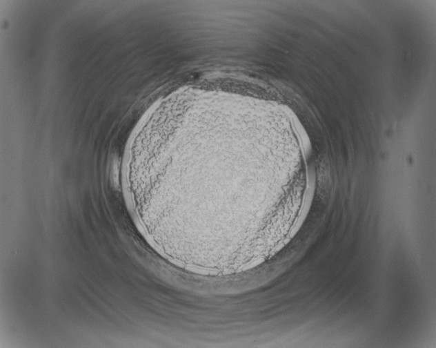 X0000081600046200702121600