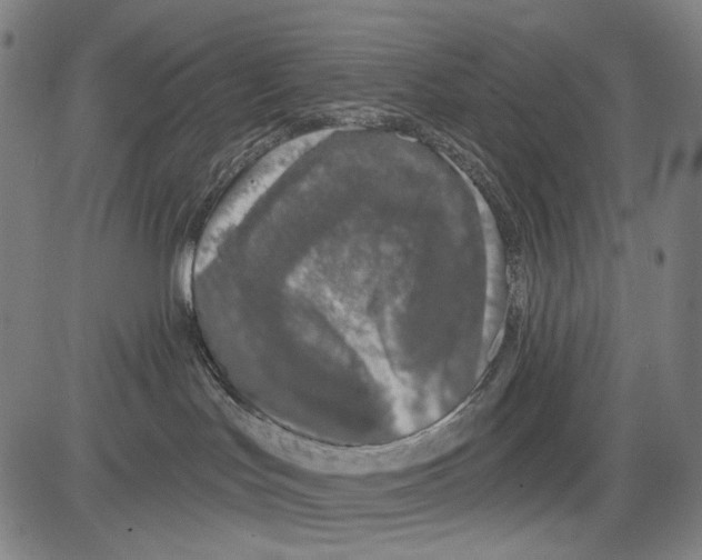 X0000081600047200702121600