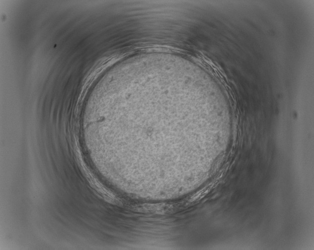 X0000081600049200702121559