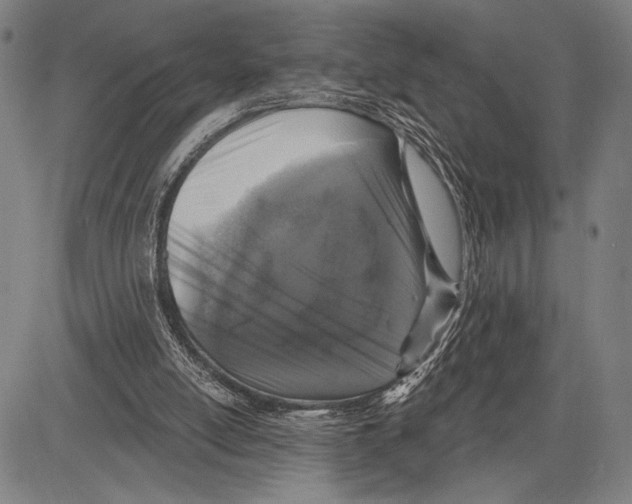 X0000081600054200702121559