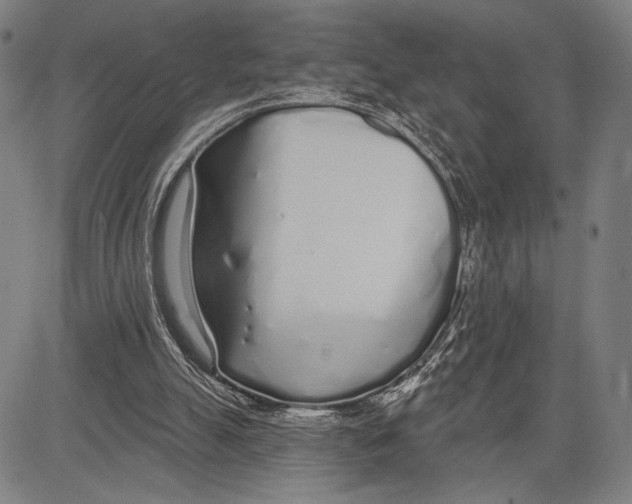 X0000081600055200702121559