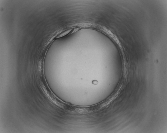 X0000081600057200702121559