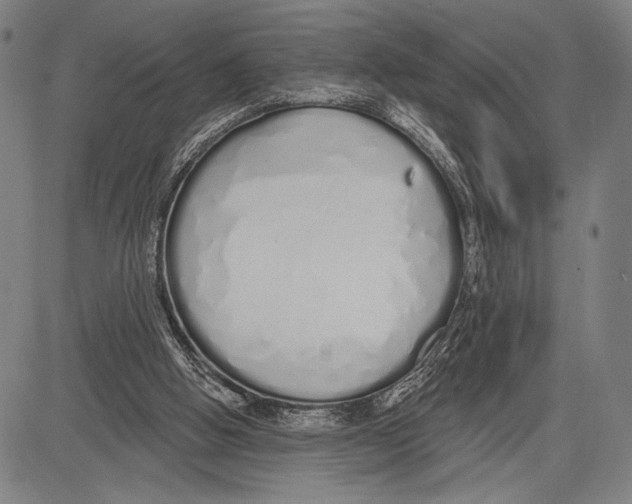 X0000081600058200702121559