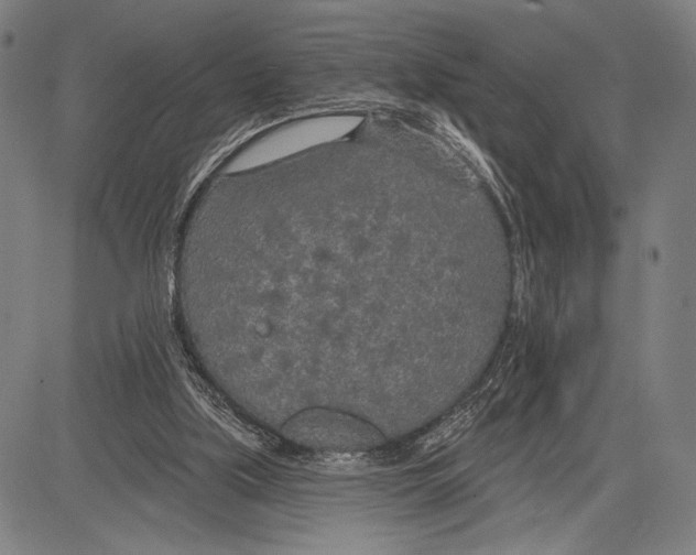 X0000081600059200702121559