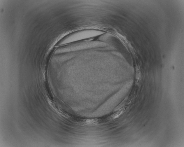 X0000081600060200702121559