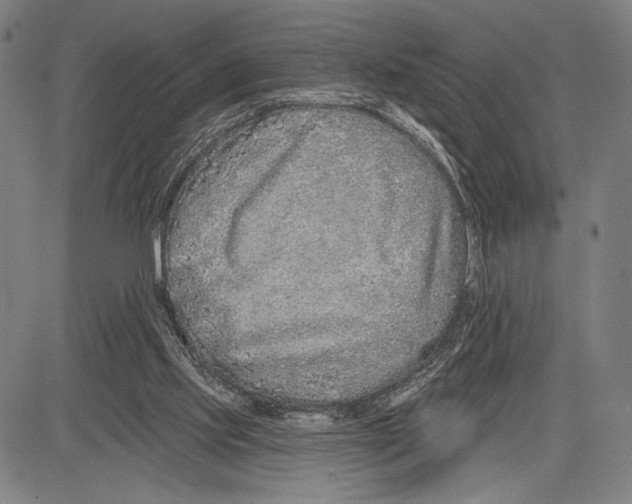 X0000081600061200702121600