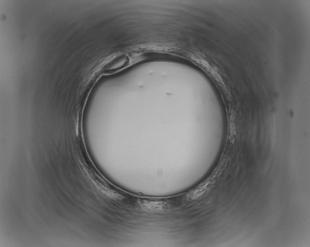 X0000081600062200702121600