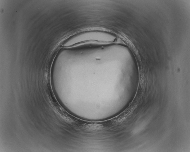 X0000081600063200702121600