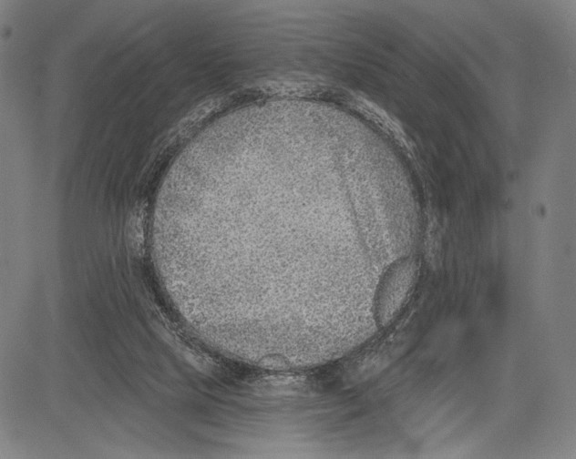 X0000081600065200702121600