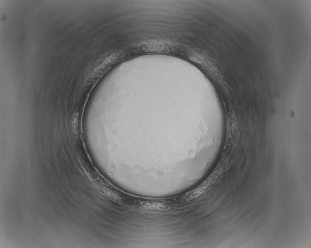 X0000081600066200702121600