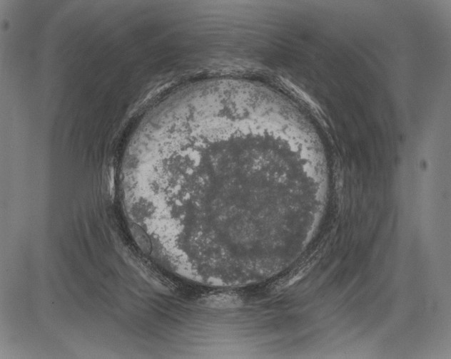 X0000081600067200702121600