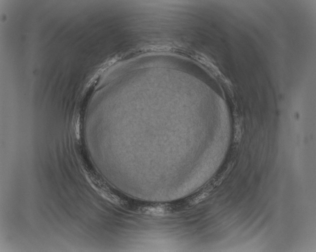 X0000081600068200702121600