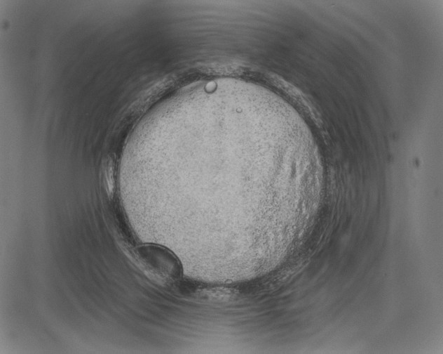 X0000081600069200702121600