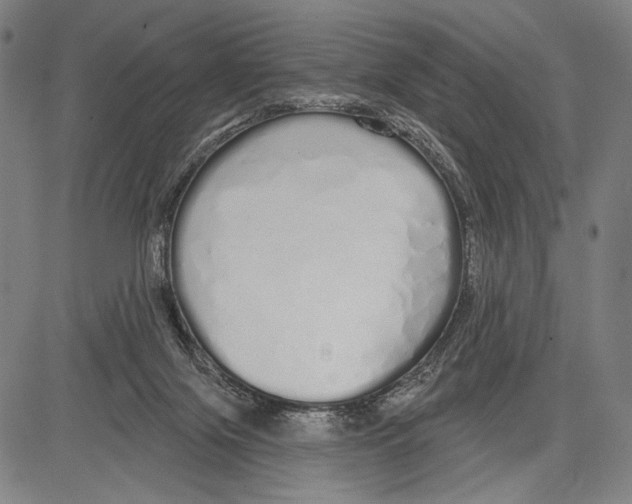 X0000081600071200702121600