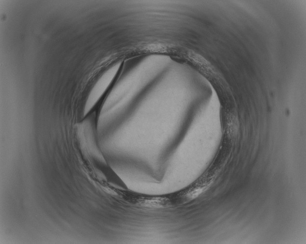 X0000081600072200702121600