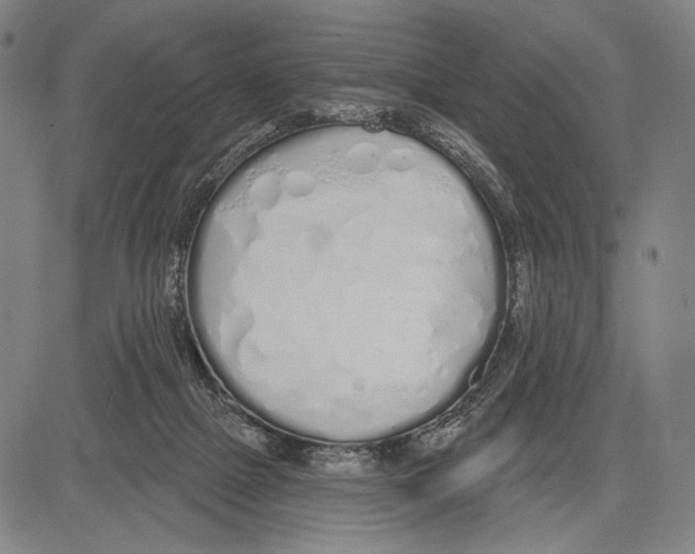 X0000081600073200702121600