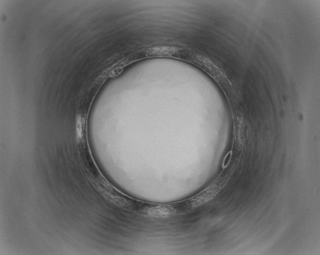 X0000081600075200702121600