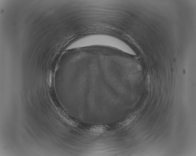 X0000081600076200702121600