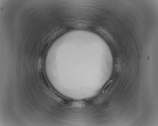 X0000081600077200702121600