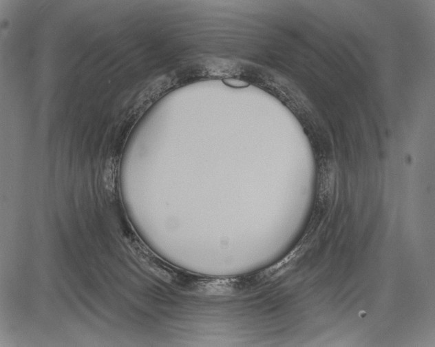 X0000081600078200702121600