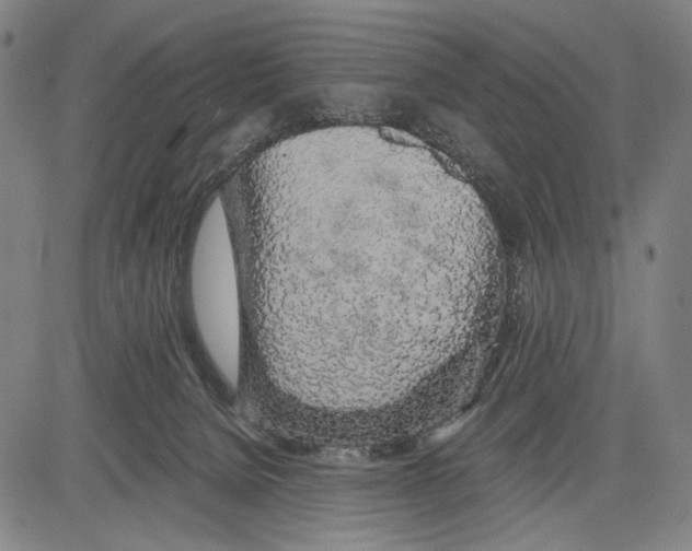 X0000081600080200702121600