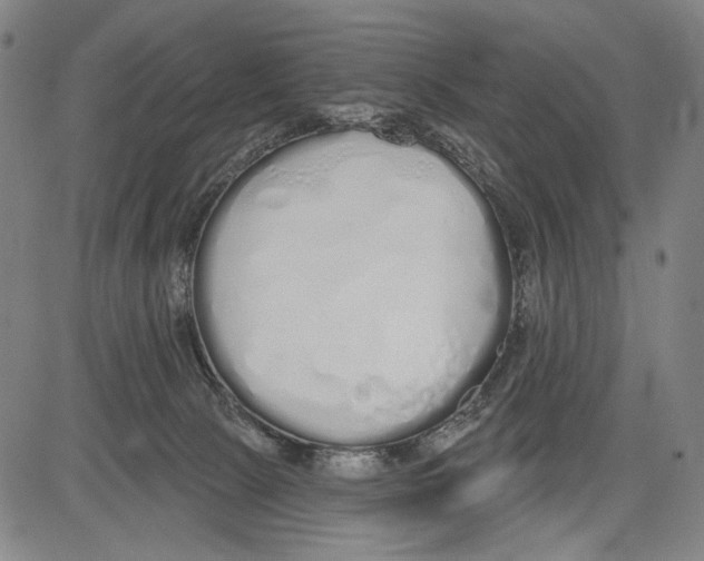 X0000081600081200702121600