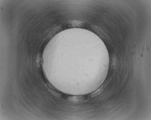 X0000081600082200702121600