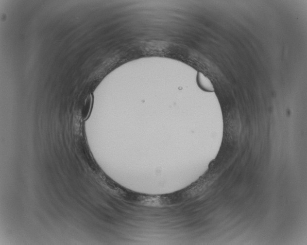 X0000081600083200702121600