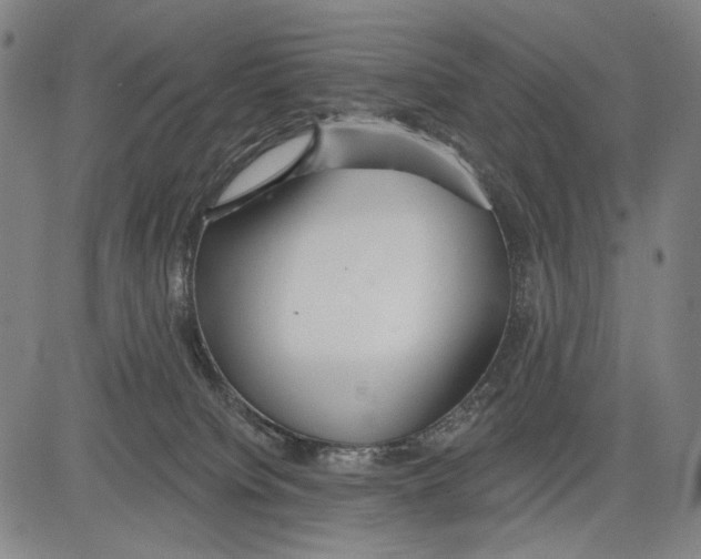 X0000081600084200702121600