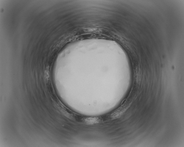 X0000081600085200702121600