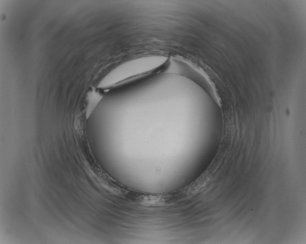 X0000081600088200702121600