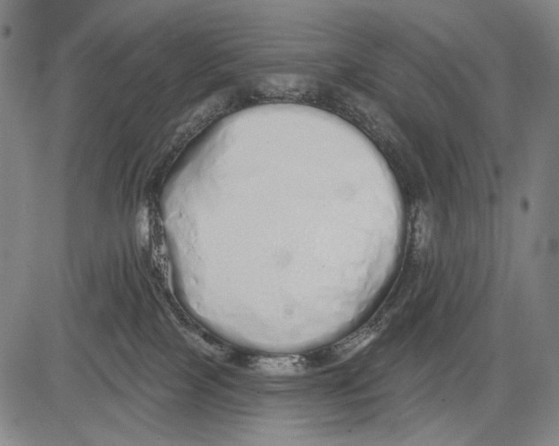 X0000081600089200702121600