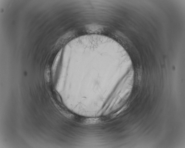 X0000081600090200702121600