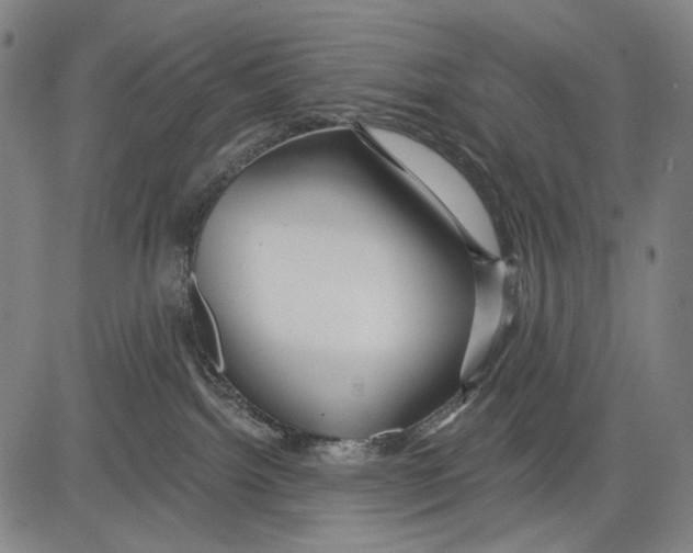 X0000081600092200702121600