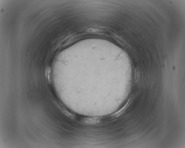 X0000081600094200702121600