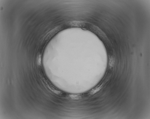 X0000081600095200702121600